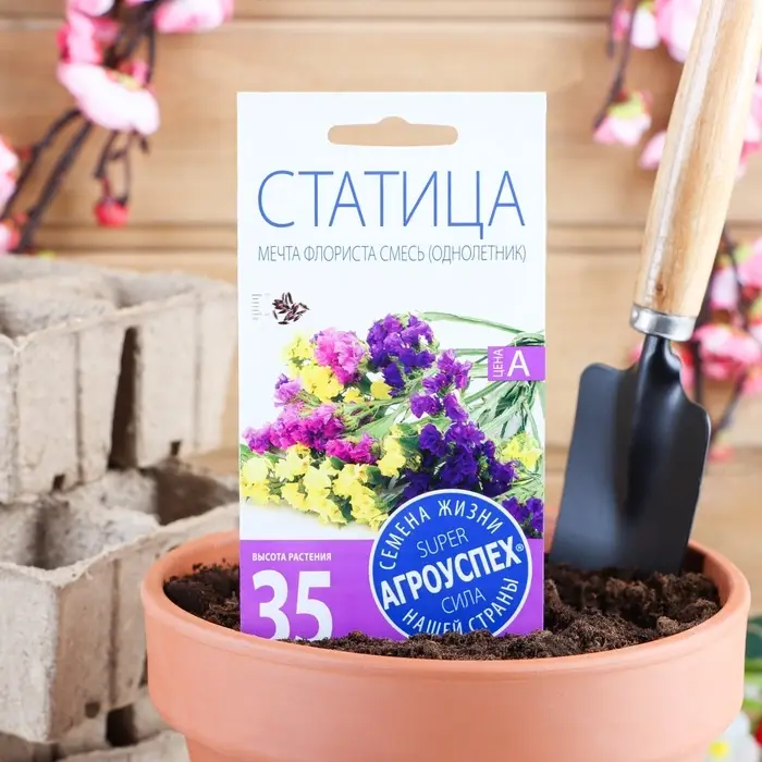 Семена цветов Статица &laquo;Мечта флориста&raquo;, смесь, 0.1 г, однолетник, &laquo;Агроуспех&raquo;