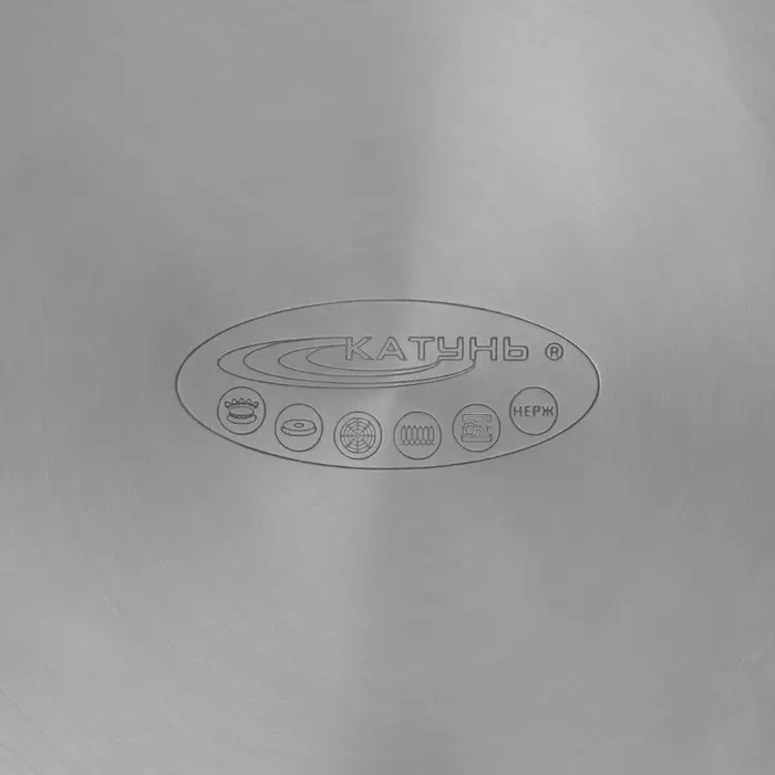 Кастрюля Катунь &laquo;Гретта&raquo;, 9 л, d=24 см, с крышкой, капсульное дно, индукция, нержавеющая сталь, AISI - 201, хромированная