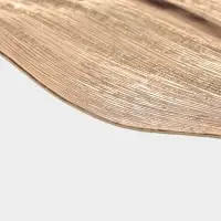 Набор салфеток для стола Доляна &laquo;Осенний лист&raquo;, 49&times;29 см, 4 шт., ПВХ, золотистый