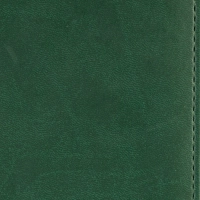 Ежедневник недатированный зелёный,А5,143х210мм,176л,ATTACHE Сиам