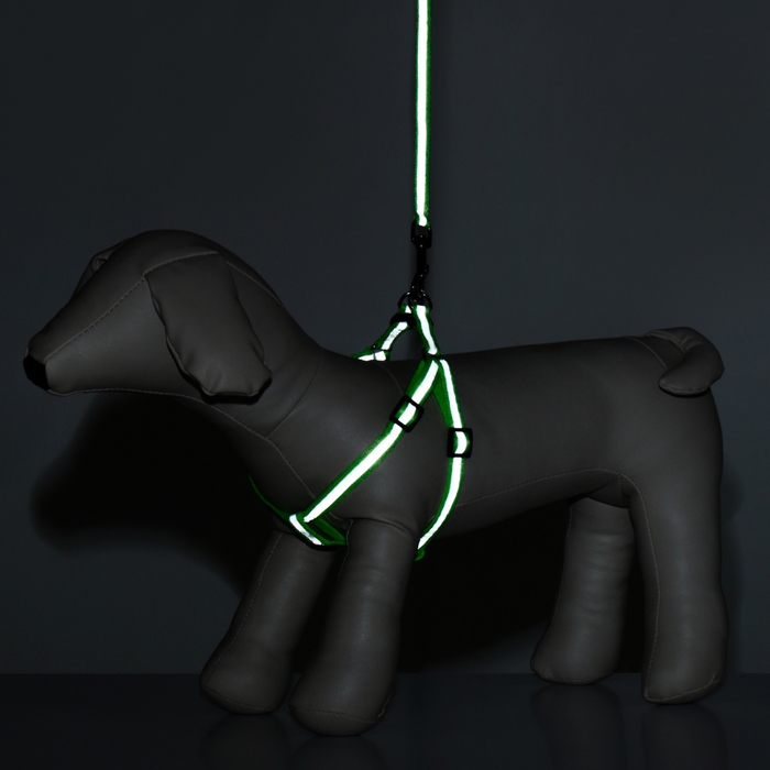 Комплект со светоотражающей лентой, ошейник 120 х 1 см, ОГ 26-40 см, зеленый Комплект со светоотражающей лентой, ошейник 120 х 1 см, ОГ 26-40 см, зеленый