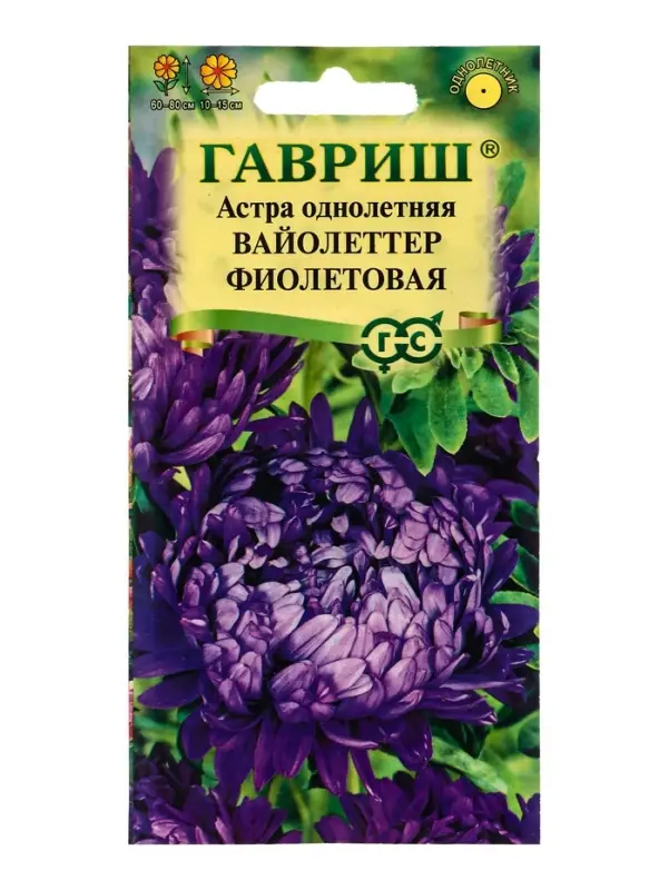 Семена цветов Астра Вайолеттер фиолетовая, однолетняя (пионовидная) 0,3 г