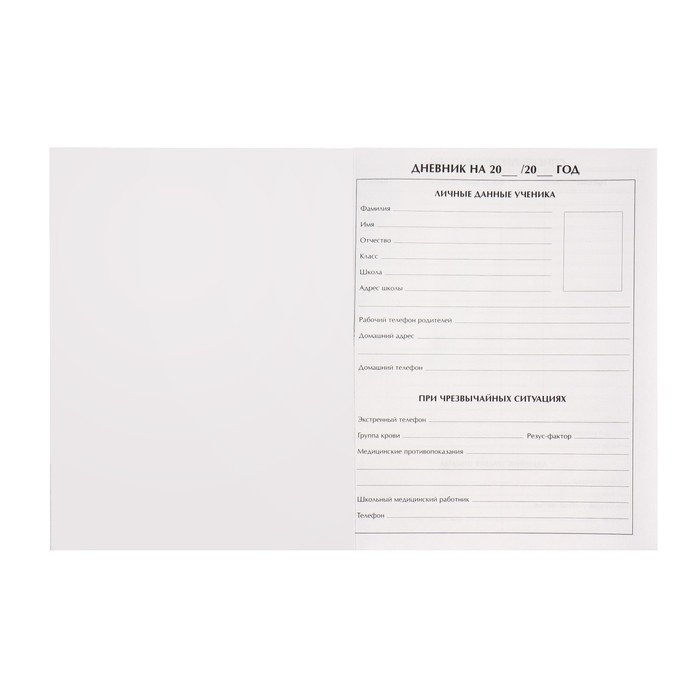 Дневник универсальный для 1-11 классов, Дневник универсальный для 1-11 классов, "Аниме. Мальчик и лисенок", твердая обложка 7БЦ, матовая ламинация, выборочный лак, 40 листов