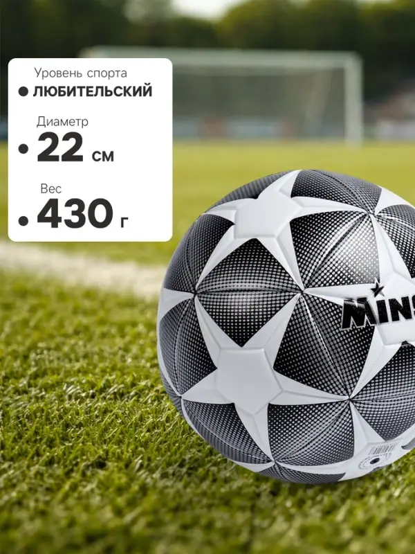 Мяч футбольный MINSA, TPE, машинная сшивка, 12 панелей, р.5