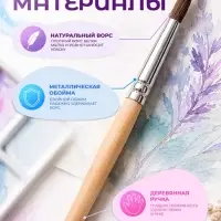 Набор кистей для рисования, белка, 6 штук: № 1, 3, 5, 7, 9, 11, круглые, деревянная ручка, международный размер