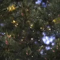 Гирлянда &laquo;Нить&raquo; 10 м, IP44, УМС, тёмная нить, 100 LED, свечение тёплое белое, 220 В