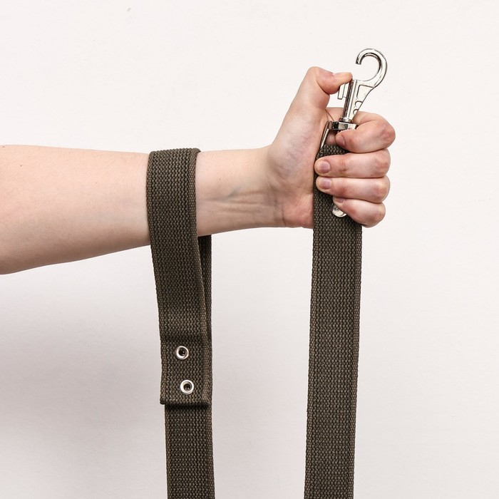 Поводок брезентовый 2 м х 3,5 см, тёмно-зелёный Поводок брезентовый 2 м х 3,5 см, тёмно-зелёный