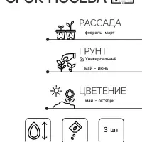 Семена цветов Пеларгония "Нано", ц/п,  "Лососевая", ц/п,  3 шт Семена цветов Пеларгония "Нано", ц/п,  "Лососевая", ц/п,  3 шт