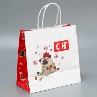 Набор пакетов подарочных новогодних &laquo;Это на Новый год&raquo;, 6 шт., 22&times;22&times;11 см