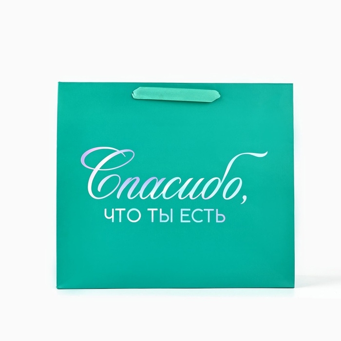 Пакет подарочный «Спасибо, что ты есть», голография, M 30 х 9 х 26 см