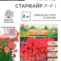 Флокс «Старфайр» корневище в пакете с торфогрунтом, р-р I, 2 шт.