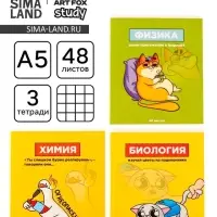 Тетради предметные, 48 л., А5, набор из 3 шт. &laquo;Персонажи&raquo;