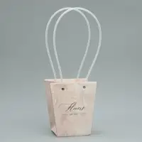 Переноска для цветов «Нюд», 13.5 х 15 х 9.5 см Переноска для цветов «Нюд», 13.5 х 15 х 9.5 см