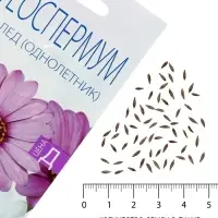 Семена цветов Остеоспермума &laquo;Небо и лед&raquo; смесь, 0.2 г