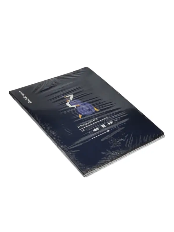 Тетрадь для нот А4 ErichKrause Music Fantasy, 24 листа, на скобе