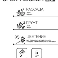 Семена комнатных цветов Колеус &laquo;Коралловый Восход&raquo;, 5 шт., &laquo;Семена Алтая&raquo;