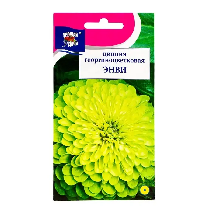 Семена цветов Цинния "Энви", 0,3 г