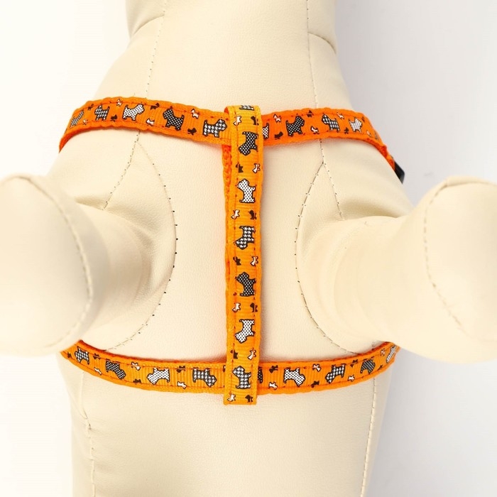 Комплект  Комплект "Собачки", ширина 1 см, поводок 1,2 м, шлейка 23-35 см, оранжевый