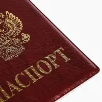 Обложка для паспорта, тиснение золотого цвета, искусственная кожа, бордовая