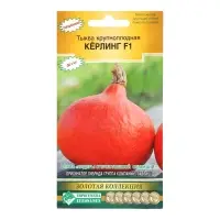 Семена Тыква "Кёрлинг", F1, 3 шт