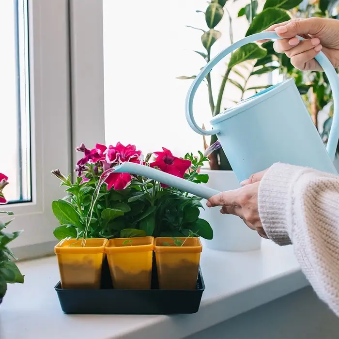 Лейка с длинным носиком, 1.2 л, без рассеивателя, голубая, Greengo