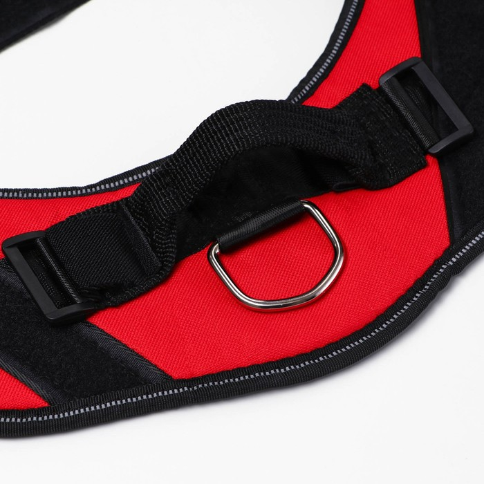 Шлейка К9 мягкая светоотражающая, размер M, ОГ 55-65 см, вес 11-20 кг, красная Шлейка К9 мягкая светоотражающая, размер M, ОГ 55-65 см, вес 11-20 кг, красная