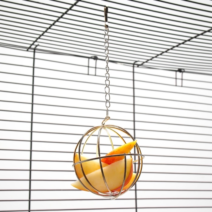 Кормушка для сена металлическая сфера, 8 х 8 х 15 см Кормушка для сена металлическая сфера, 8 х 8 х 15 см