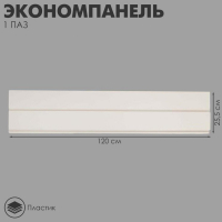 Экономпанель пластик 1 паз, 120×25,5 см, цвет белый