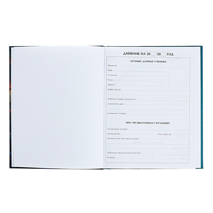 Дневник для 5-11 классов Дневник для 5-11 классов "Аниме. Девушка", твёрдая обложка, глянцевая ламинация, 48 листов