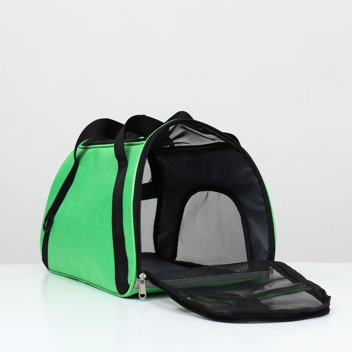 Сумка-переноска сетчатая, 43 х 21 х 30 см, зелёная Сумка-переноска сетчатая, 43 х 21 х 30 см, зелёная