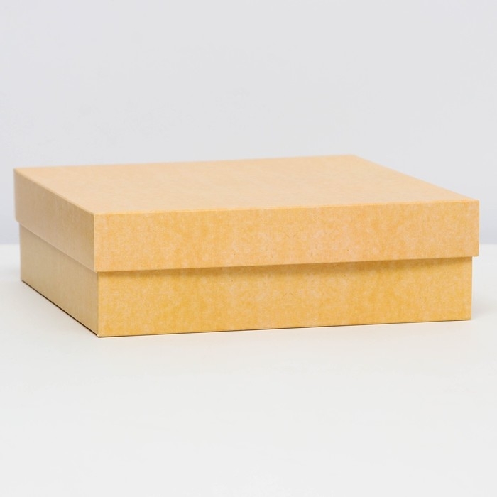 Коробка подарочная складная, упаковка, крышка-дно, крафт, 20 х 20 х 6 см Коробка подарочная складная, упаковка, крышка-дно, крафт, 20 х 20 х 6 см