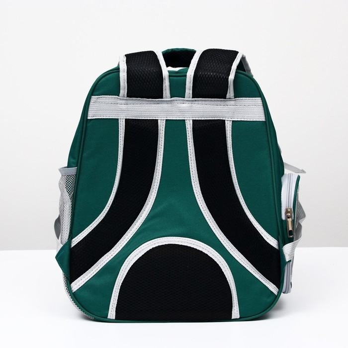 Рюкзак для переноски кошек  Рюкзак для переноски кошек "Котик", прозрачный, 34 х 25 х 40 см, зелёный