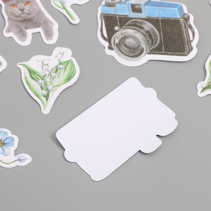 Наклейки для творчества Наклейки для творчества "Коты, голубые цветы и фото" 3,5х5 см набор 40 шт 9,4х8,4х0,5 см