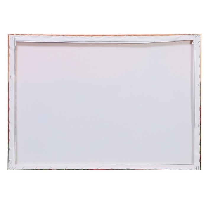 Картина Картина "Маковое поле" 50*70 см