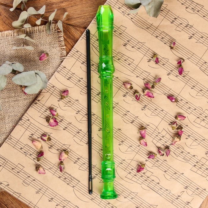 Блокфлейта Music Life, 8 отверстий, немецкая система, зеленая Блокфлейта Music Life, 8 отверстий, немецкая система, зеленая