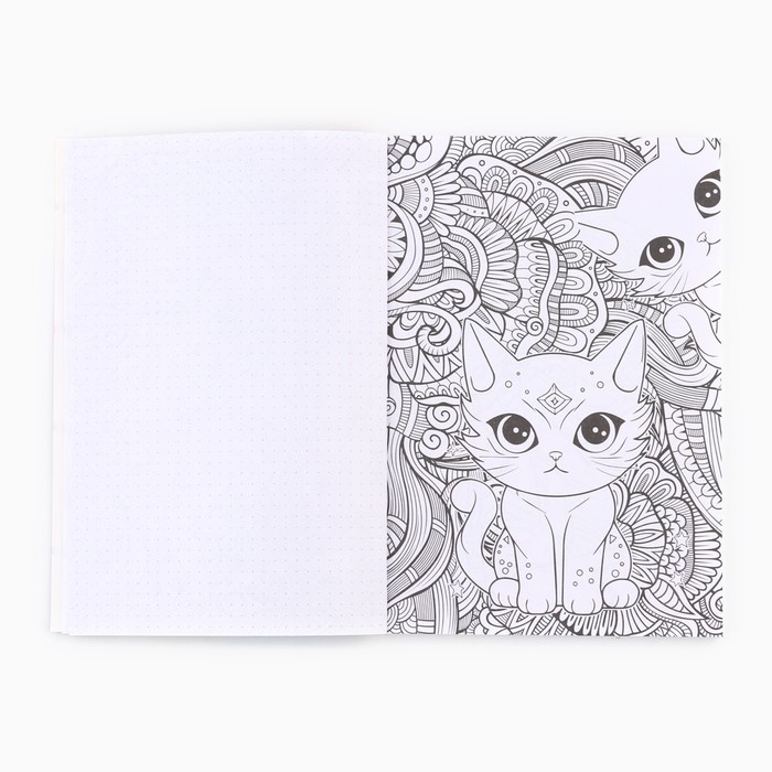 Смешбук с раскраской А5, 80 л «Аниме Девочки» Смешбук с раскраской А5, 80 л «Аниме Девочки»