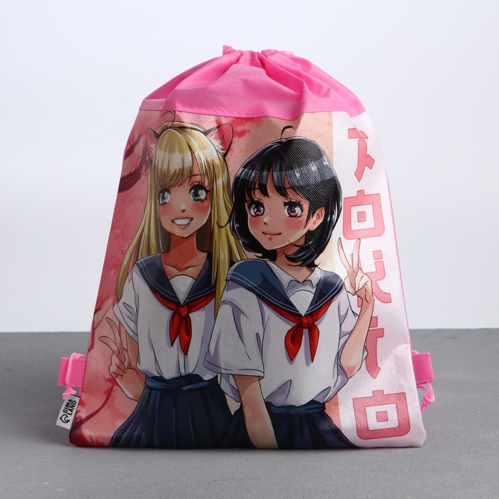 Мешок для обуви «Школьницы» полиэстер, размер 30 х 40 см Мешок для обуви «Школьницы» полиэстер, размер 30 х 40 см