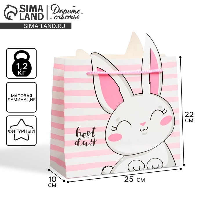 Пакет подарочный, упаковка, «Best day», 25 х 26 х 10 см Пакет подарочный, упаковка, «Best day», 25 х 26 х 10 см