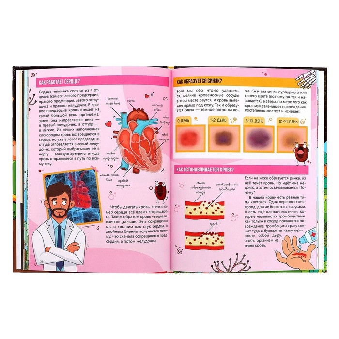 Энциклопедия в твёрдом переплёте «Как всё устроено», 64 стр. Энциклопедия в твёрдом переплёте «Как всё устроено», 64 стр.