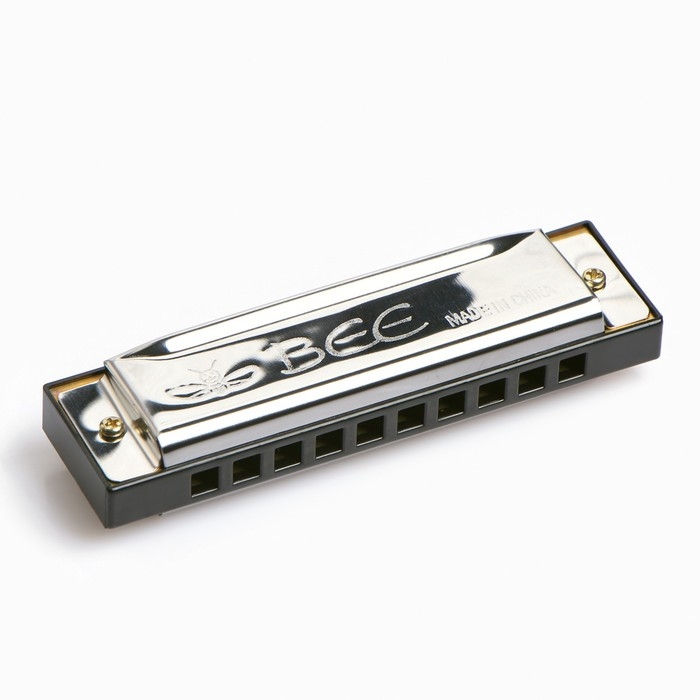 Губная гармошка, диатоническая, 10 отверстий, c-major, с футляром, серебристая Губная гармошка, диатоническая, 10 отверстий, c-major, с футляром, серебристая