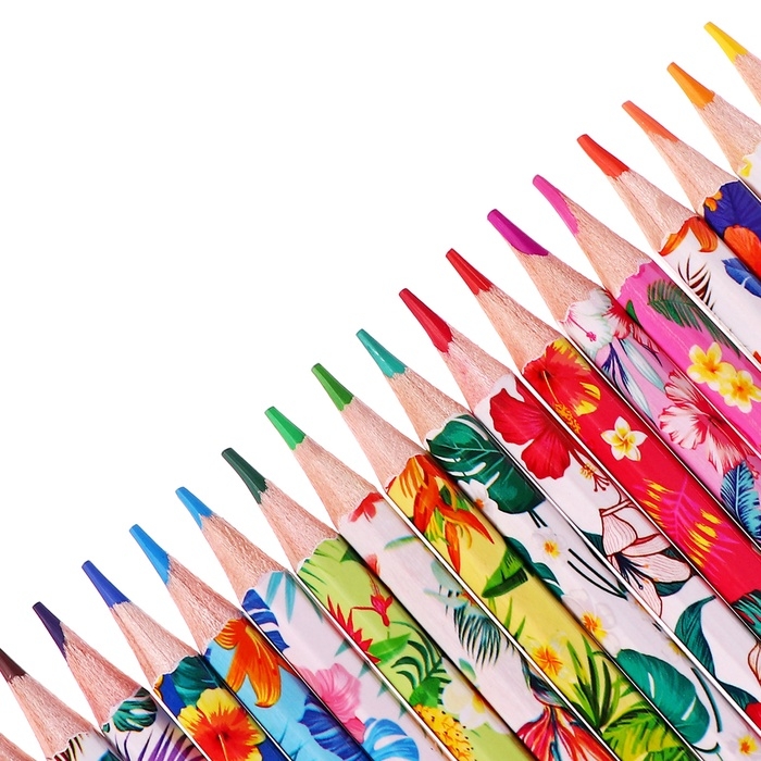 Карандаши 18 цветов в картонной коробке, шестигранные, деревянные,Цветы на чёрном МИКС Карандаши 18 цветов в картонной коробке, шестигранные, деревянные,Цветы на чёрном МИКС