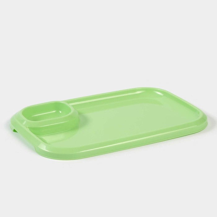 Блюдо для шашлыка с соусницей 30,3×21×2,5 см, цвет зеленый