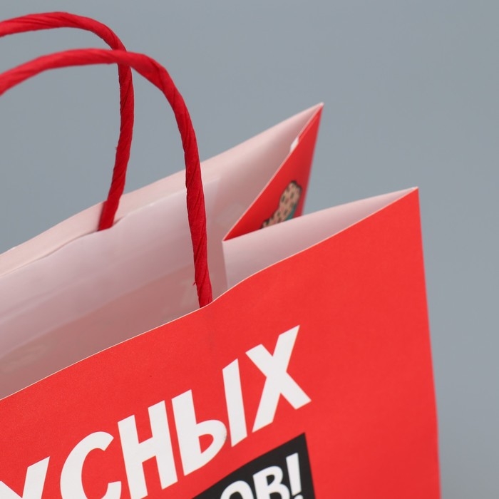 Пакет подарочный новогодний крафтовый «Праздники», 22 х 22 х 11 см, Новый год Пакет подарочный новогодний крафтовый «Праздники», 22 х 22 х 11 см, Новый год