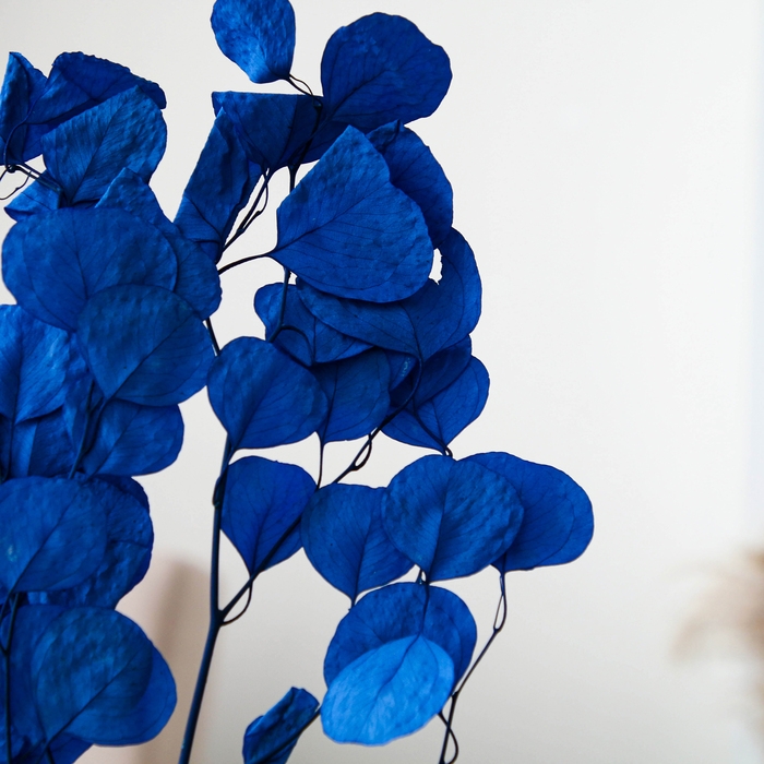 Сухоцвет персикого дерева, 50 г, длина — 70 см, цвет синий Сухоцвет персикого дерева, 50 г, длина — 70 см, цвет синий