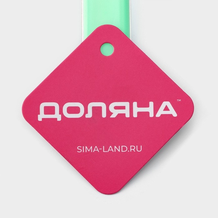 Сито для просеивания с ручкой Доляна «Хозяюшка», d=14 см, цвет зелёный Сито для просеивания с ручкой Доляна «Хозяюшка», d=14 см, цвет зелёный