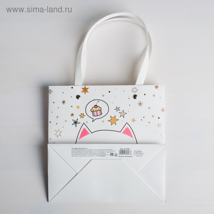 Пакет подарочный, упаковка, «Котик», 20 х 20 х 10 см Пакет подарочный, упаковка, «Котик», 20 х 20 х 10 см