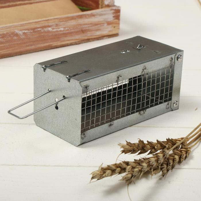 Мышеловка-ловушка (клетка), 13 × 6 × 6 см, металл Мышеловка-ловушка (клетка), 13 × 6 × 6 см, металл