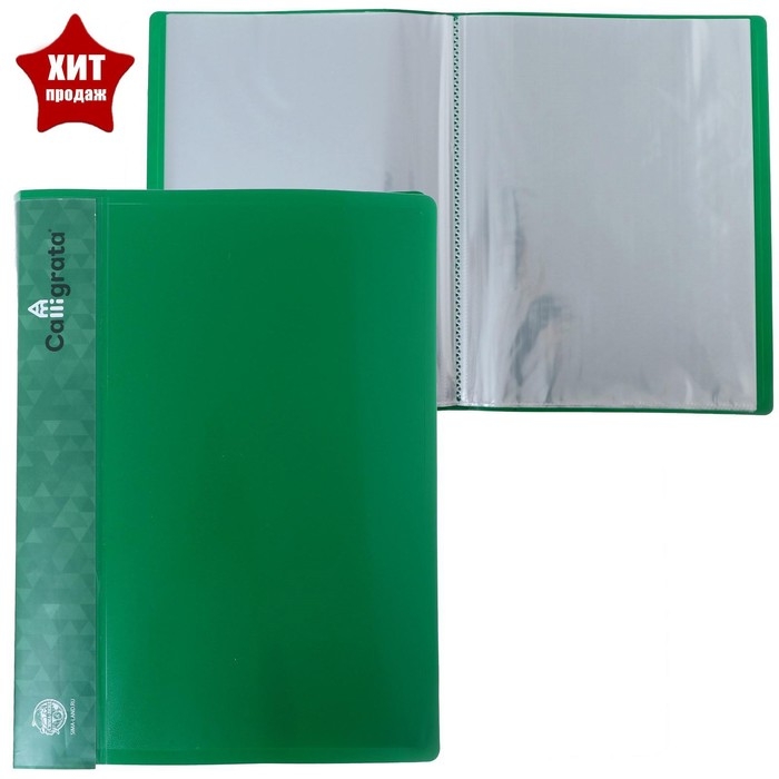 Папка с 60 вкладышами А4, 500 мкм, Calligrata, карман на корешке, зелёная Папка с 60 вкладышами А4, 500 мкм, Calligrata, карман на корешке, зелёная