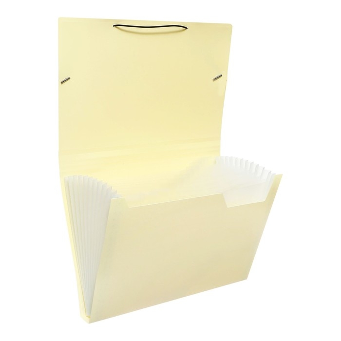 Папка картотека А4, Calligrata Папка картотека А4, Calligrata "Акварель", 13 отделений, пластиковая, 700 мкм, ванильная, резинка чёрная