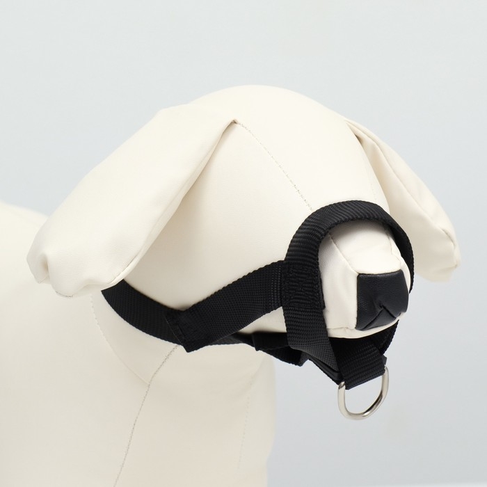 Недоуздок-намордник для собак строгий, размер S, ОM  12-24 см, ОШ 11-18 см, черный Недоуздок-намордник для собак строгий, размер S, ОM  12-24 см, ОШ 11-18 см, черный